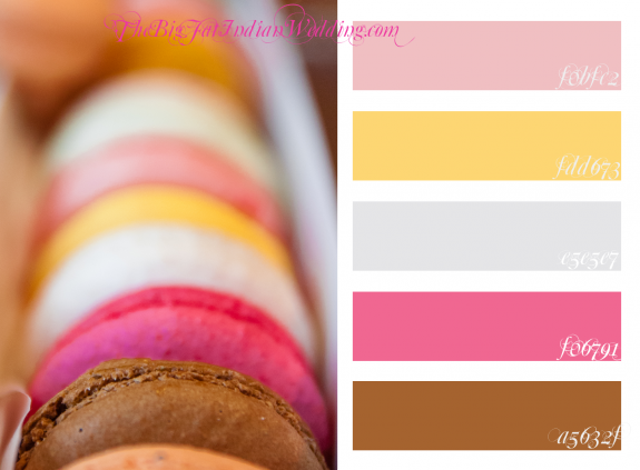 Macaron Chocolate Vanilla Strawberry Color Palette Monday