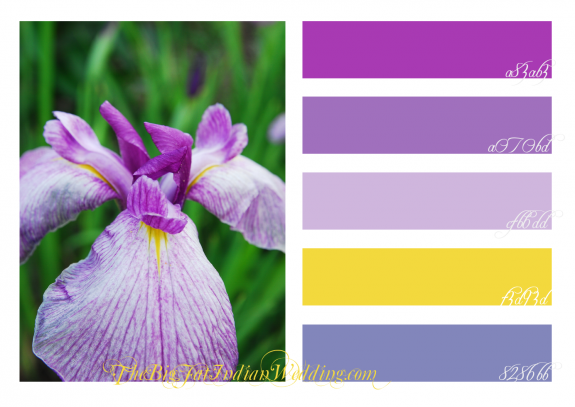 Orchid Purple Gold Wedding Color Palette Monday