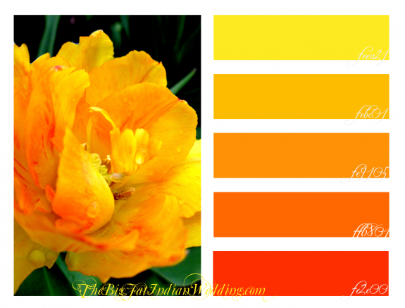 Sunshine Tulip Wedding Color Palette Monday