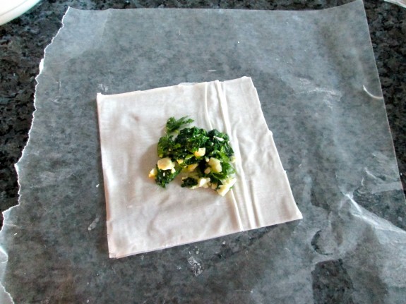 Spinach Feta Samosa Recipe 06