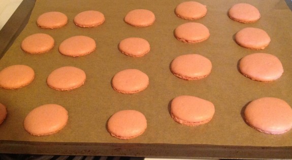 Rose Macaron Recipe 10