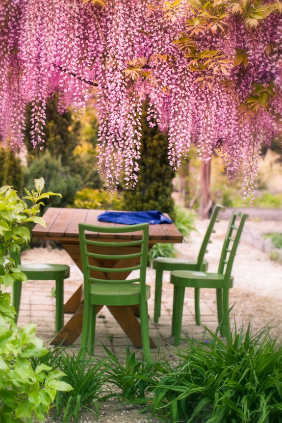 purple acacia vine flowers_GreenWedding