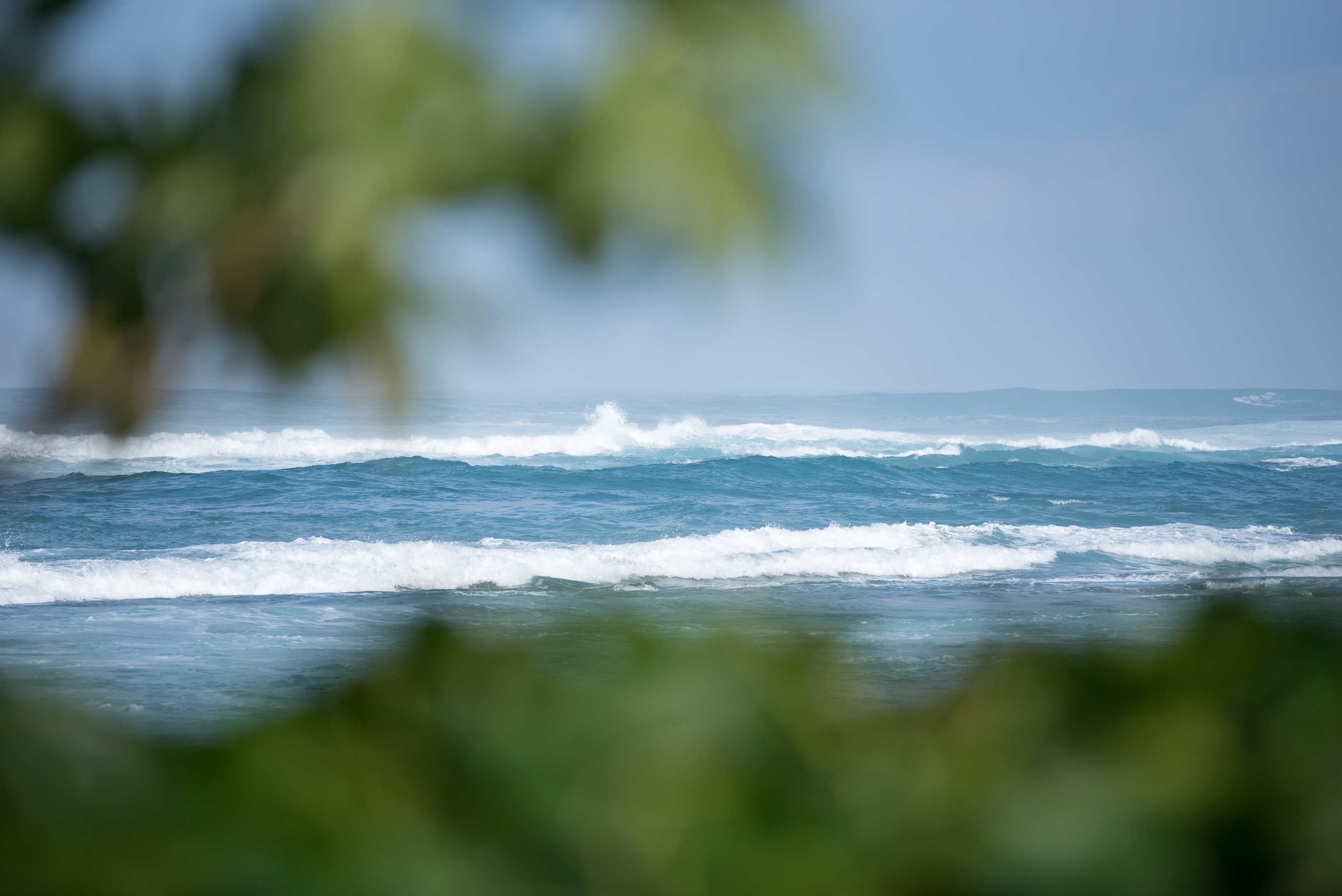 sun-drenched-hawaii-sheikh-wedding-4