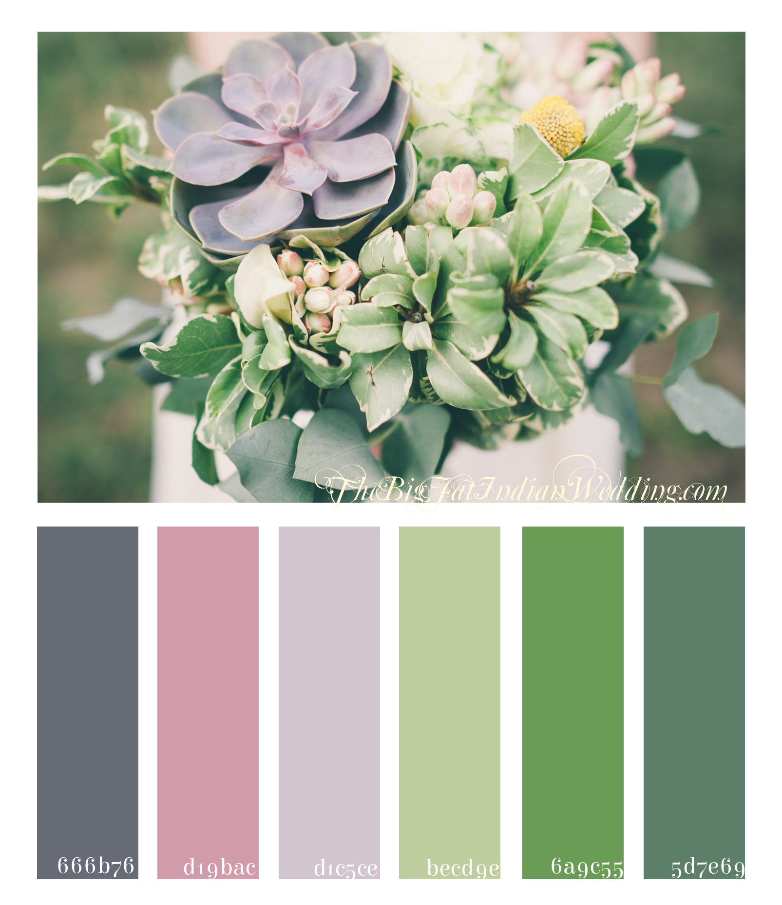 succulent-inspiration-palette