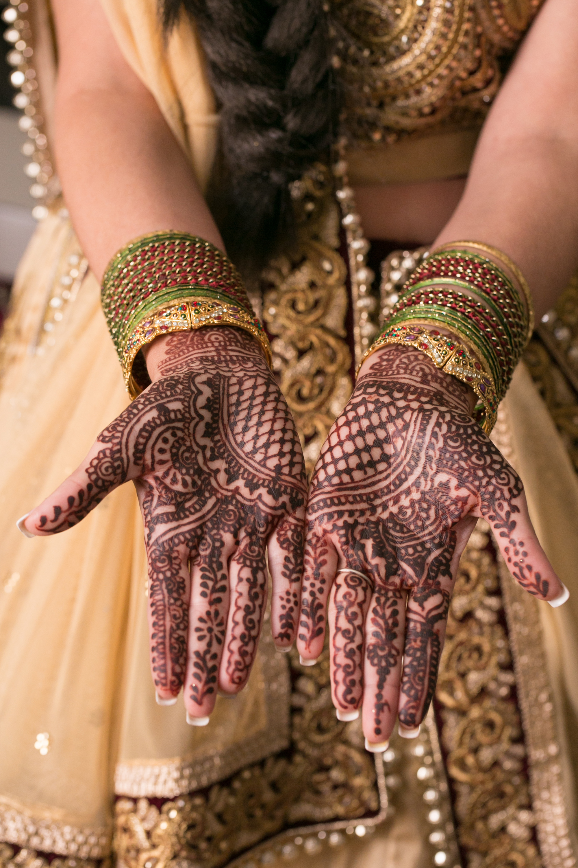 Indian Wedding St Petersburg Florida | Carrie Wildes Photo 09